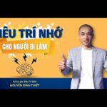 SIÊU TRÍ NHỚ CHO NGƯỜI ĐI LÀM