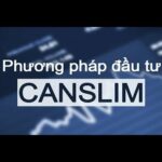 Đầu tư Chứng Khoán theo phương pháp CANSLIM