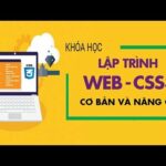 Học lập trình Web - CSS3 cơ bản và nâng cao