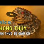 Phong thủy đánh thức sự giàu có