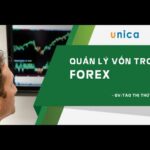 Quản lý vốn trong forex