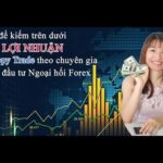 Cách kiếm trên dưới 20% lợi nhuận từ Copy trade chuyên gia trong đầu tư giao dịch Ngoại hối Forex