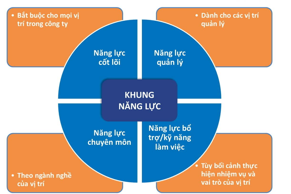 khung-nang-luc-4-thanh-phan-rat-hay-duoc-su-dung-de-danh-gia-nang-luc-ung-vien