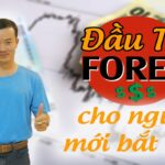 Đầu tư Forex cho người mới bắt đầu