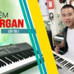 Dạy Đệm Organ Cấp Tốc I - Thiện Organ