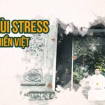 Đẩy lùi stress cùng Thiền Việt