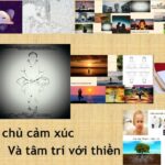 Tham, Sân, Si và Thiền trong quản trị cảm xúc