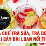 Pha chế trà sữa, trà detox trái cây Đài Loan nổi tiếng