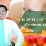 Bí quyết cho trẻ ăn dặm lớn nhanh, khỏe mạnh