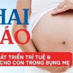 Thai giáo - Phát triển trí tuệ & cảm xúc cho con trong bụng mẹ