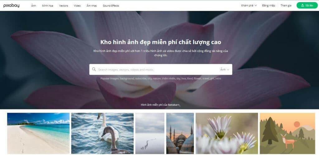 2-website-se-cung-cap-cho-ta-nhung-hinh-nen-may-tinh-4k-chat-luong-tuyet-voi-hon-nhieu-so-voi-viec-tim-kiem-tren-google-image